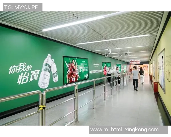 探索体育用品品牌专卖的魅力与优势助力运动爱好者的选择与体验